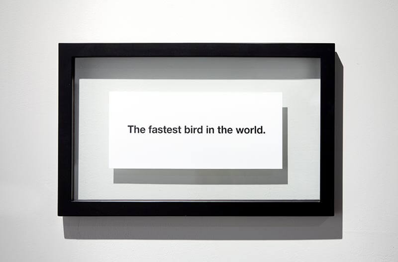 fastest-bird-detail-2 by Jeff (JG) Mair